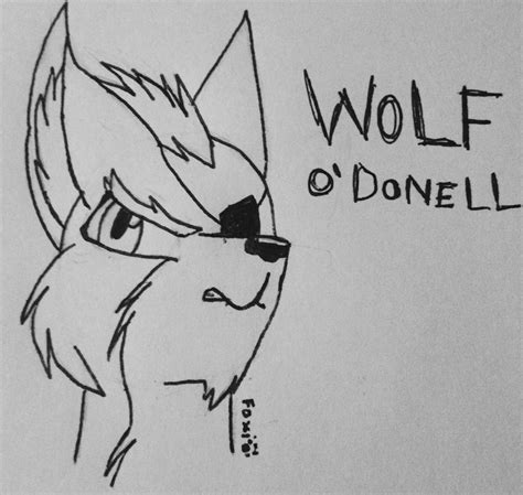 Star Fox Wolf Odonnell By Foxiravenheart On Deviantart