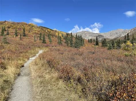 10 Best Trails and Hikes in Denali National Park | AllTrails