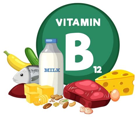 Grupo De Alimentos Frutas Y Verduras Que Contienen Vitamina B12