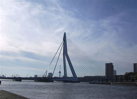 Best Bridge Europe Erasmusbrug