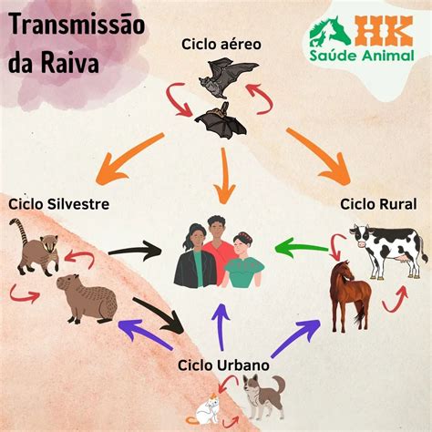 A Raiva É Uma Doença Viral E Infecciosa - HK Saúde Animal - "A Raiva é uma doença infecciosa aguda e...