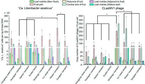 Quantification Analyses Of Candidatus Liberibacter Asiaticus And