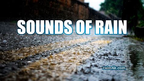 Rain sleep sounds - rain sounds 10 hours - YouTube