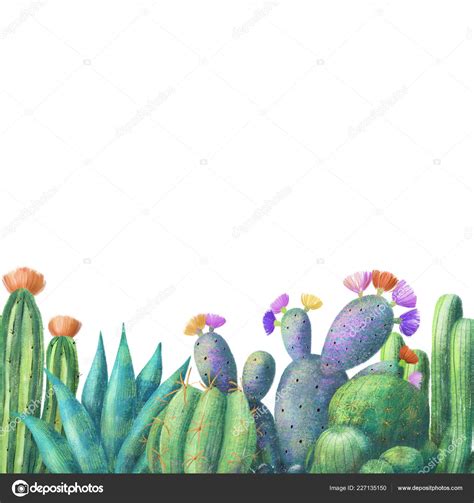 Cute Cactus Border Cute Colorful Cactus Border Banner Template