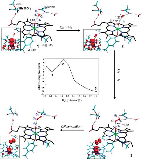 Figure 1 from The molecular mechanism of the catalase reaction ...