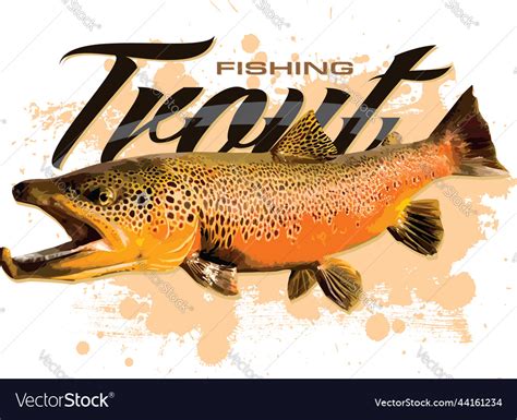 Trout Royalty Free Vector Image - VectorStock