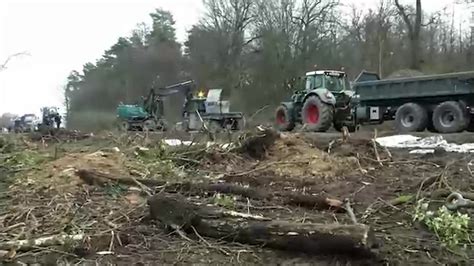 Räumung im Fechenheimer Wald geht weiter 17 30live Rheinland Pfalz Hessen