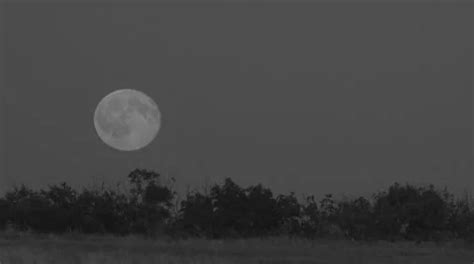 Full Moon Over Dark Black Sky At Night Stock Video Pond5