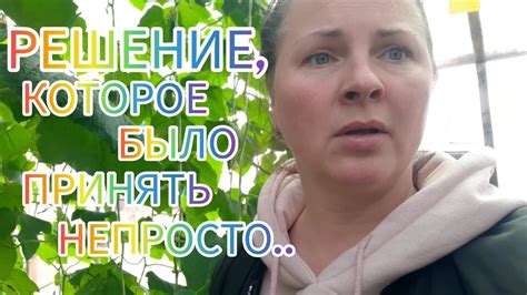 Первомай на Алтае. Саженцы клубники закончились. Я вырастила самые ...