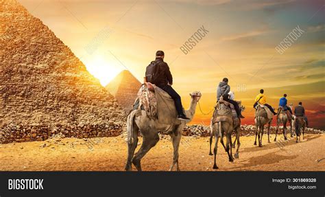 Camel Caravan Pyramids Image And Photo Free Trial Bigstock