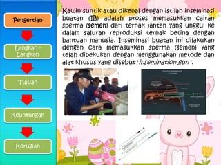 Kawin Suntik Pada Hewan Ternak Ppt