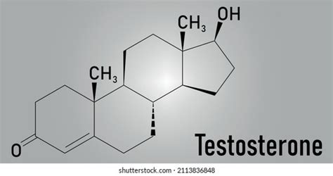 Testosterone Male Sex Hormone Androgen Molecule Stock Vector Royalty Free 2113836848