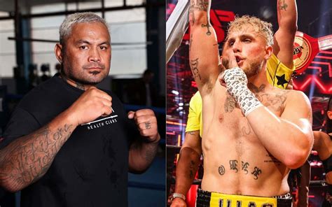 Download Mark Hunt Kick Boxing Champ Wallpaper