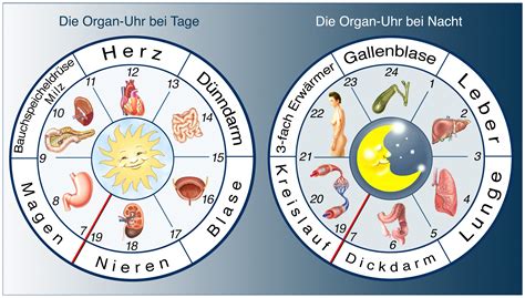 Schlaf Wach Bio Rhythmus Den Jetlag Schlagartig Verblitzen Heilpraxis