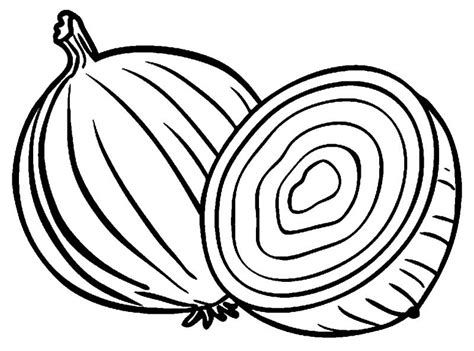 Dibujo De Una Cebolla Blanca Para Colorear Dibujos Para Colorear Pdmrea Porn Sex Picture