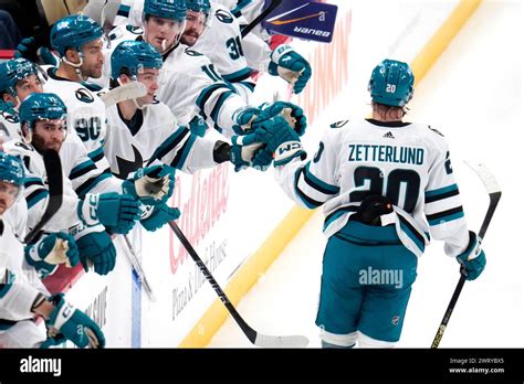 san jose sharks fabian zetterlund  returns   bench