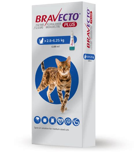 cat reaction  bravecto  zoe szabados blog