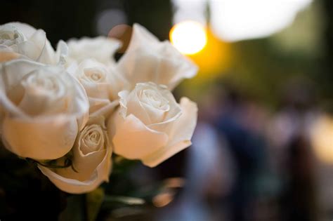 Boda en Palacio de los Cordova Fotografos de boda Malaga Fotógrafos