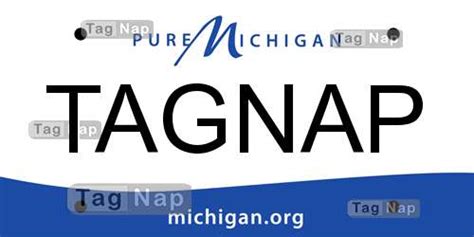 Michigan License Plate Lookup - TagNap