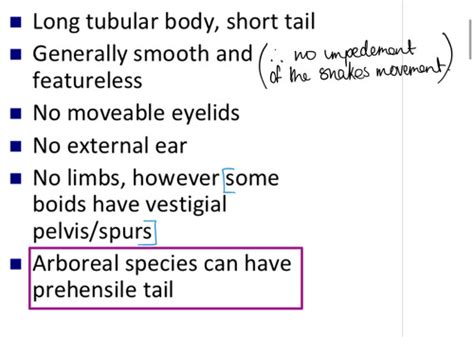 Reptile Anatomy 2 External Features Integument Flashcards Quizlet