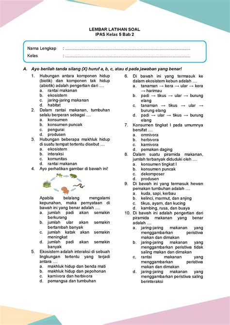 Latihan Soal Ipas Kelas Bab Daring Nur Hidayah Press
