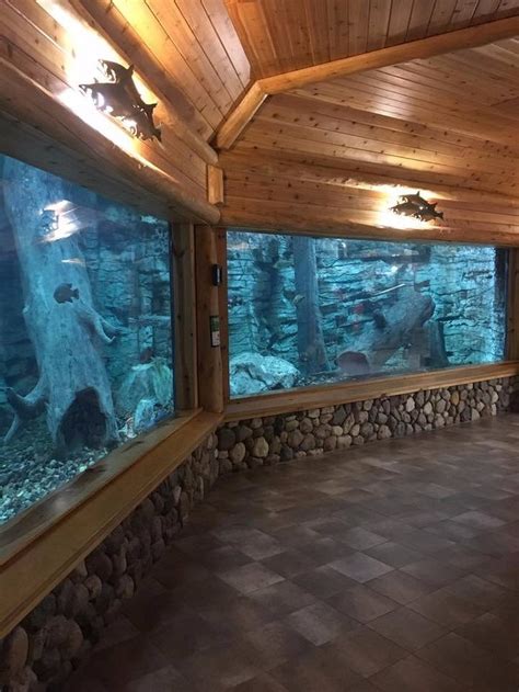 Cabelas Offers A Free Indoor Animal Themed Adventure In West Virginia