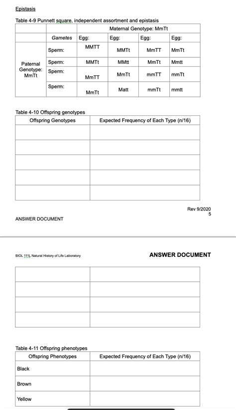 Solved Epistasis Table 4-9 Punnett square, independent | Chegg.com