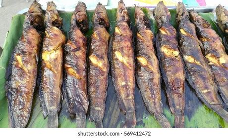 Catfish Grilled On Banana Leaves Stock Photo 569412472 Shutterstock