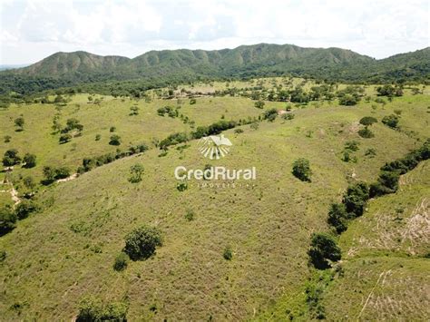 Fazenda A Venda Em Padre Bernardo Go Alqueires