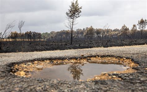 Incendies Géants En Gironde Enfin La Pluie Mais Pas La Fin Des