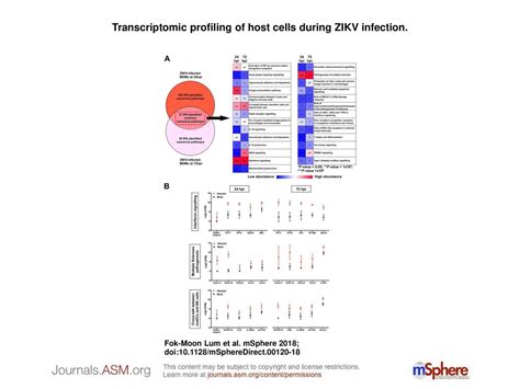 Transcriptomic Profiling Of Host Cells During Zikv Infection Ppt