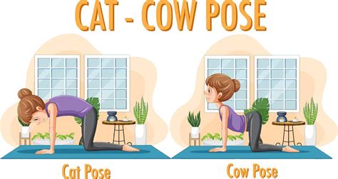 Yoga At Home With Cat Cow Pose 12404237 Vector Art At Vecteezy