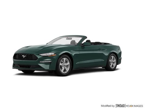 Stockfish Ford | The 2023 Mustang Convertible EcoBoost