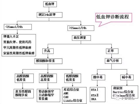 2 个病例，探寻低钾血症背后的「黑手」