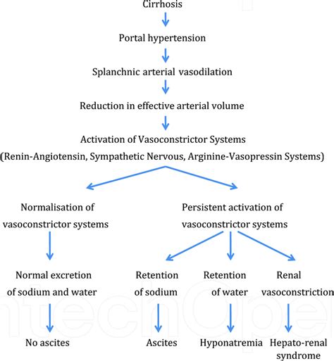 Pathophysiology of ascites and its complications in cirrhosis ...