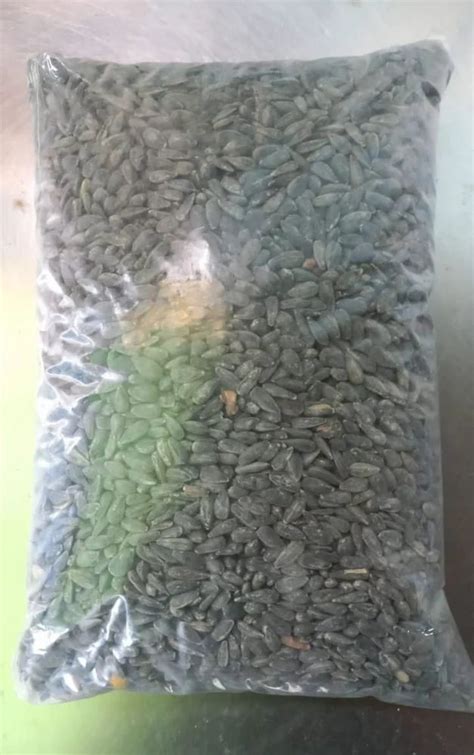 Dried Black Organic Sunflower Seed For Cooking Packaging Size Kg