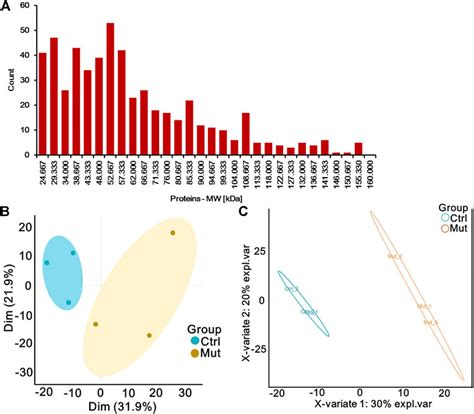 Frontiers Serum Differential Proteomic Profiling Of Patients With Isolated Methylmalonic