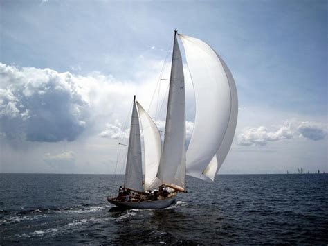 World Amazing Gallery Sail Boat