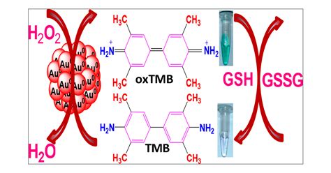 Size Dependent Synthesis Of Gold Nanoparticles And Their Peroxidase