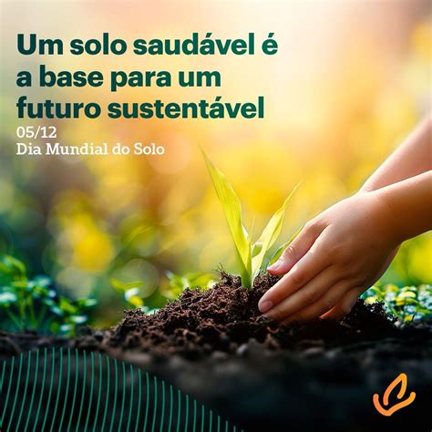 O Solo É Um Recurso Renovavel - O solo é mais do que apenas um recurso, é o alicerce de toda a vida no ...