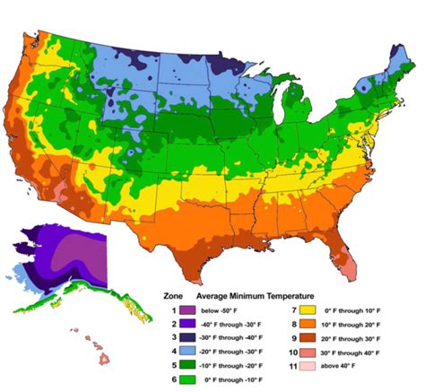 Usda Plant Hardiness Zones Map 2023 Nc - Shirl Shandee