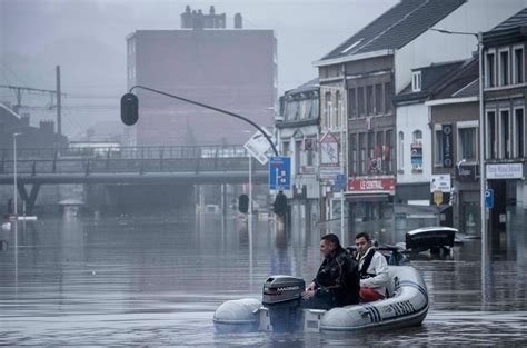 Hochwasser Belgien Holland Kuh Kilometer Von Wasser Mitgerissen