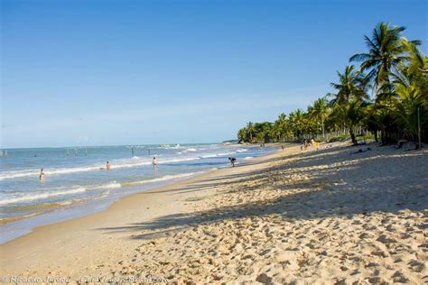 Fotos Da Praia Dos Coqueiros Em Trancoso BA