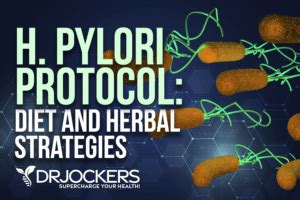 H Pylori Protocol: Diet & Herbal Strategies - DrJockers.com