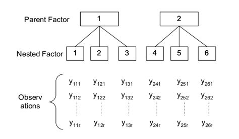 Schematic For The Two Stage Nested Design With R Replicates Adapted