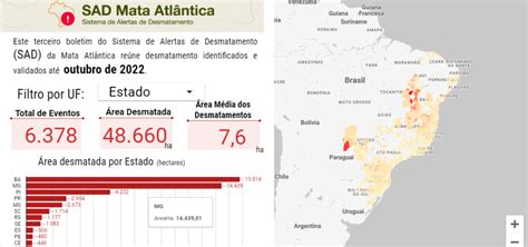 Mata Atlântica perdeu 6 850 hectares em três meses SOS Mata Atlântica