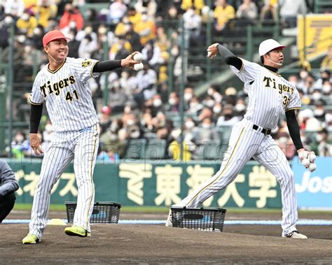 極トラ・プレミアム（日刊スポーツ） On Twitter 【昨日のファン感振り返り📸】運動会の様子📸 阪神タイガースファン感謝デー2022 村上頌樹 才木浩人 井上広大 板山