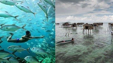 Los Bajau La Tribu Que Mut Para Sumergirse Metros Bajo El Mar Yo