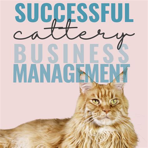 Cattery Business Management Masterclass