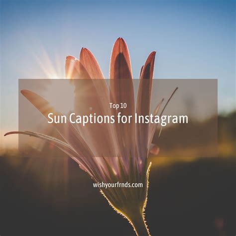 10 Sun Captions For Instagram Wish Your Friends